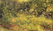 Ivan Shishkin Aegopodium, Pargolovo oil painting on canvas